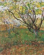 Vincent Van Gogh Flowering Orchard France oil painting artist
